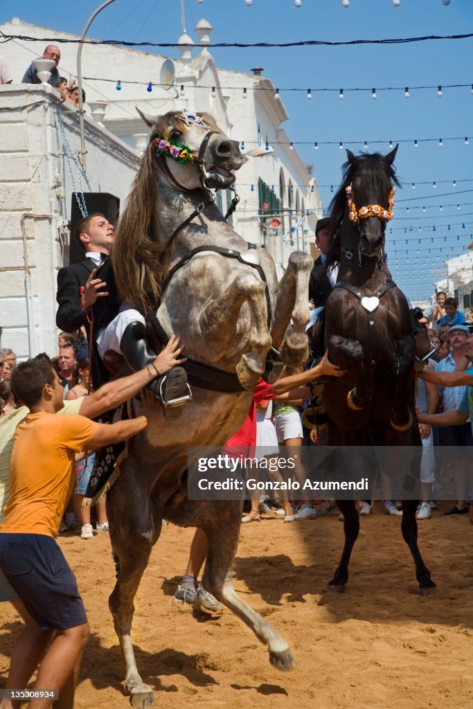 Festival with horses