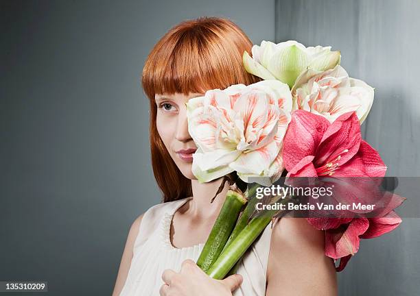 woman holding bouquet of amaryllis flowers. - amaryllis stock pictures, royalty-free photos & images