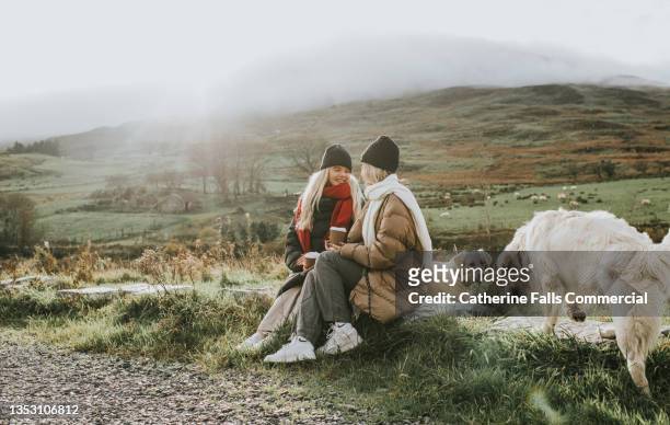 two relaxed young woman perch on large stones and drink takeaway coffees as two golden retrievers enjoy some time off-lead - lead off stock pictures, royalty-free photos & images