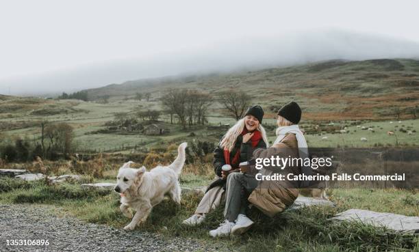 an agile golden retriever leaps over rocks beside two relaxed young woman, who perch on large stones and drink takeaway coffees. - two animals ストックフォトと画像