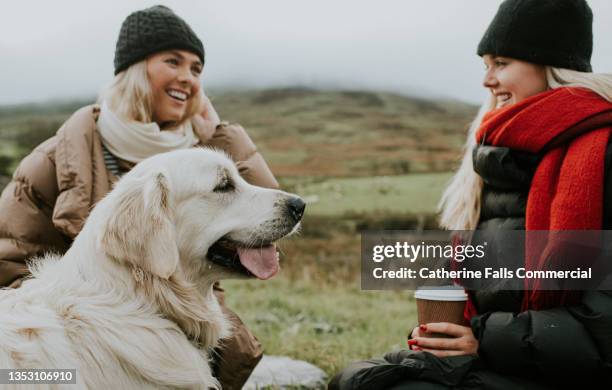 a golden retriever dog enjoys the great outdoors between two young woman who sit in the background drinking takeaway coffees - people speaking great background stock pictures, royalty-free photos & images