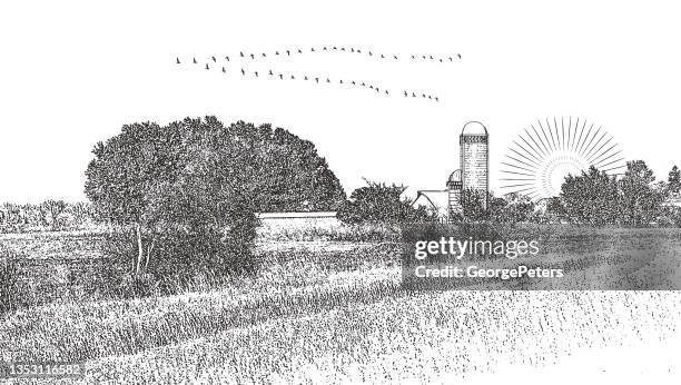 farm fields with canada geese flying in v formation - tree top view white background stock illustrations