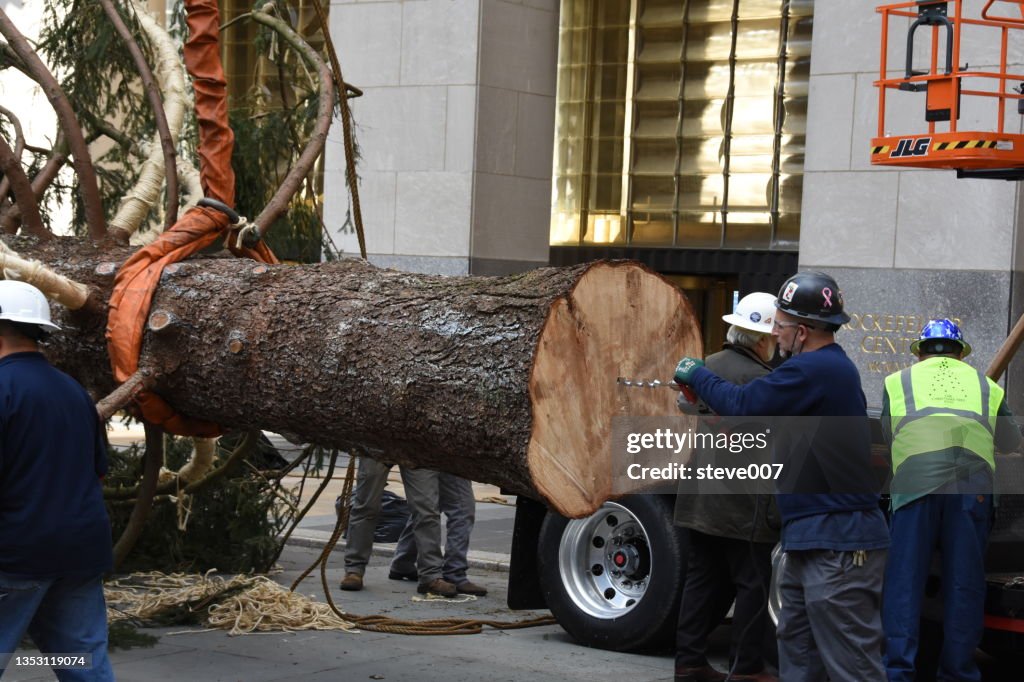 He 2021 Rockefeller Christmas Tree Was Delivered To Rockefeller Center On Saturday November 13, 2021.