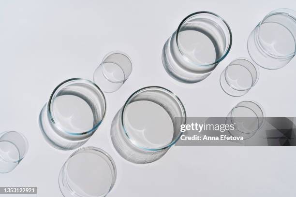 many empty petri dishes placed in a row on gray background. concept of laboratory researches. photography in flat lay style - boîte de pétri photos et images de collection