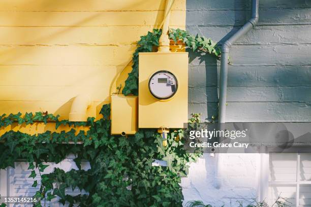 ivy grows around electricity meter on exterior of house - ampèremètre photos et images de collection