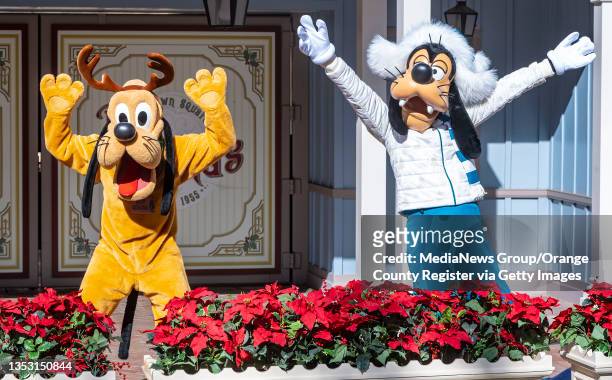 November 13: Dressed in their holiday outfits, Pluto and Goofy pose for a photo along Main Street in Disneyland on Saturday, November 13 in Anaheim.