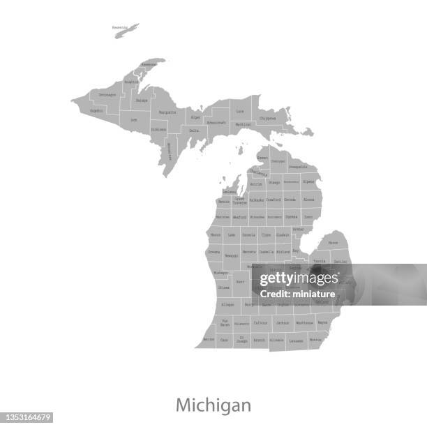 stockillustraties, clipart, cartoons en iconen met michigan map - michigan