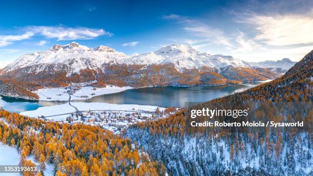 alpine lakes surrounded by larch trees in autumn - st moritz stock pictures, royalty-free photos & images