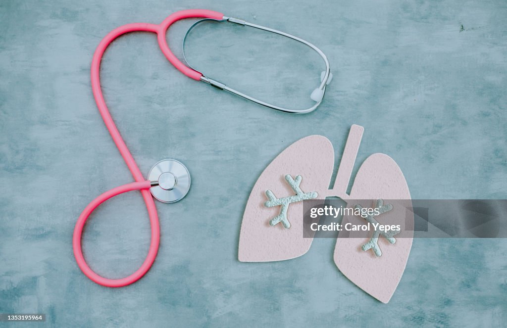 Lungs symbol made of paper on grey background. World Tuberculosis Day. Healthcare, medicine, hospital, diagnostic, internal donor organ.