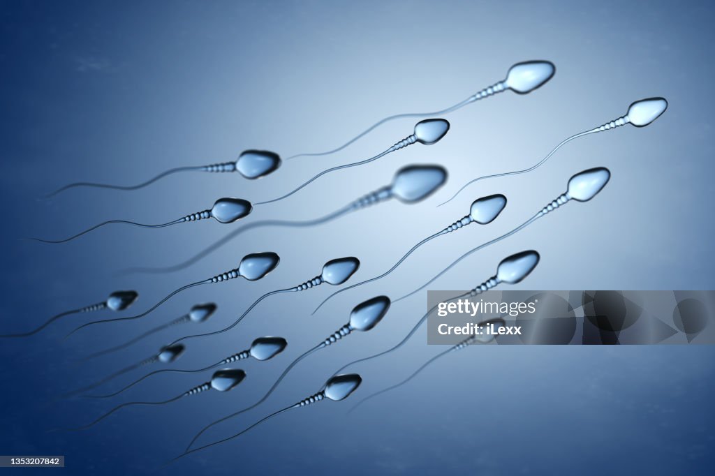 Basic Sperm Cell Illustration Of Sperm Cells High-Res Stock Photo - Getty Images