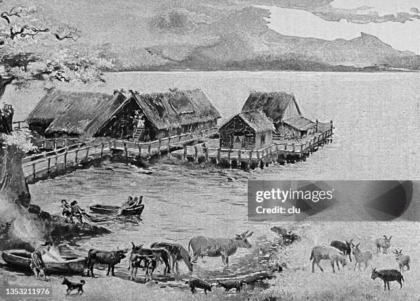 prehistoric pile dwellings on a swiss lake - bronze age stock illustrations
