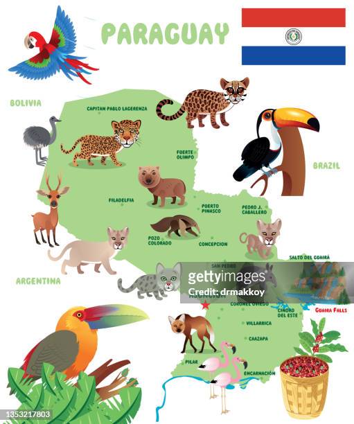 ilustrações, clipart, desenhos animados e ícones de mapa e animais do paraguai - tamanduá bandeira