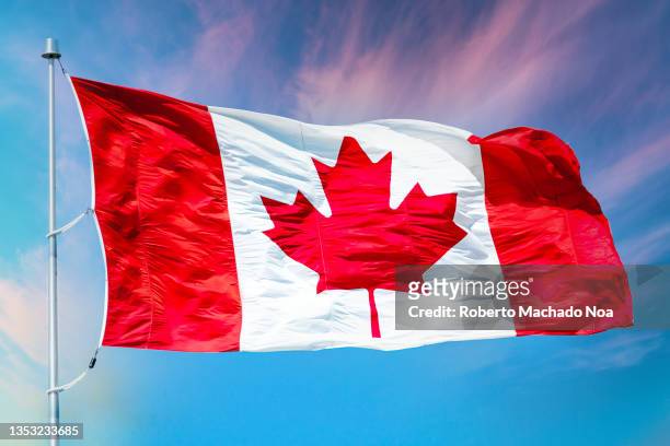 canadian flag - bandeira do canadá imagens e fotografias de stock