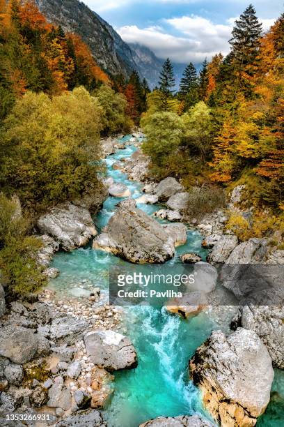 river soca close up,trenta valley,primorska, julian alps,slovenia, europe - triglav slovenia stock pictures, royalty-free photos & images