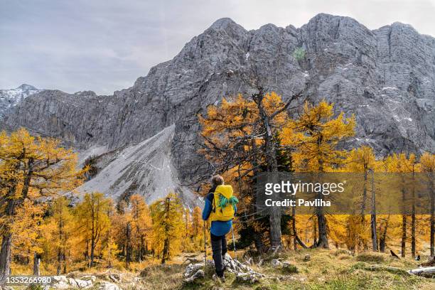 älterer mann mit grauem bart geht auf dem berg sleme unter dem berg jalovec, gorenjska, julische alpen, slowenien, europa - julianische alpen stock-fotos und bilder