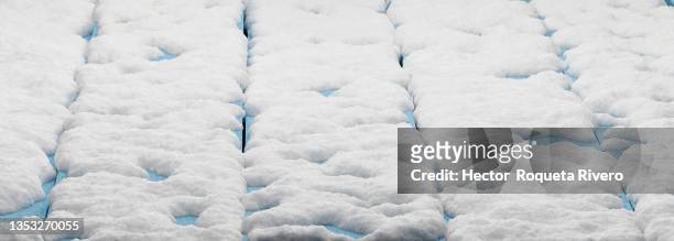 clean blue wood background with snow, digitally generated image - blue tree 3d stock-fotos und bilder