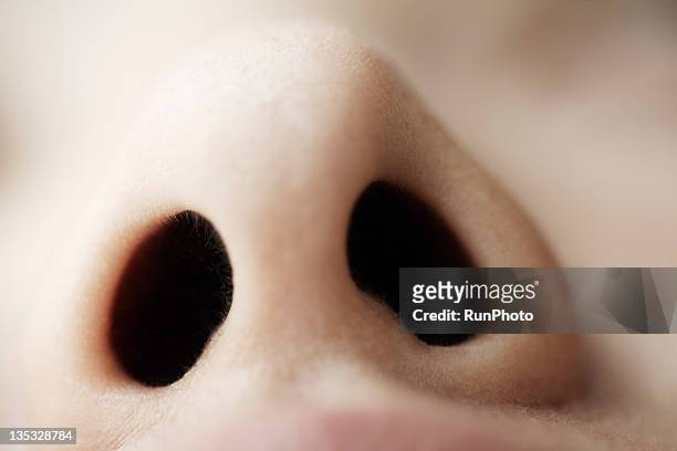 body parts - nose 個照片及圖片檔