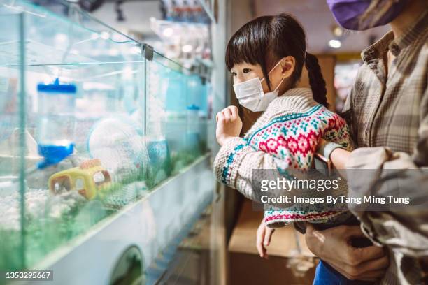 lovely little girl looking at hamster with her mom in pet shop - ペットショップ ストックフォトと画像