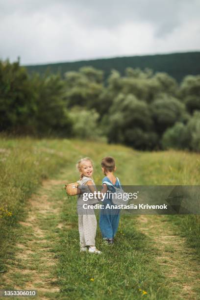 playful sister and brother having fun outdoor on it weekend holiday. - baby lachen natur stock-fotos und bilder