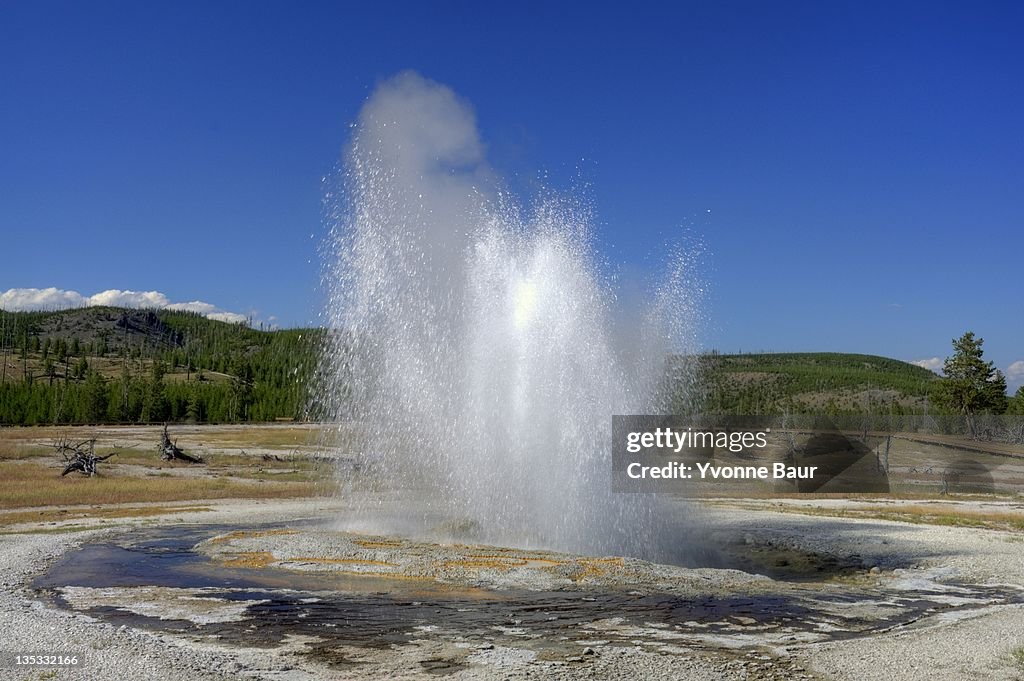 Jewel geyser