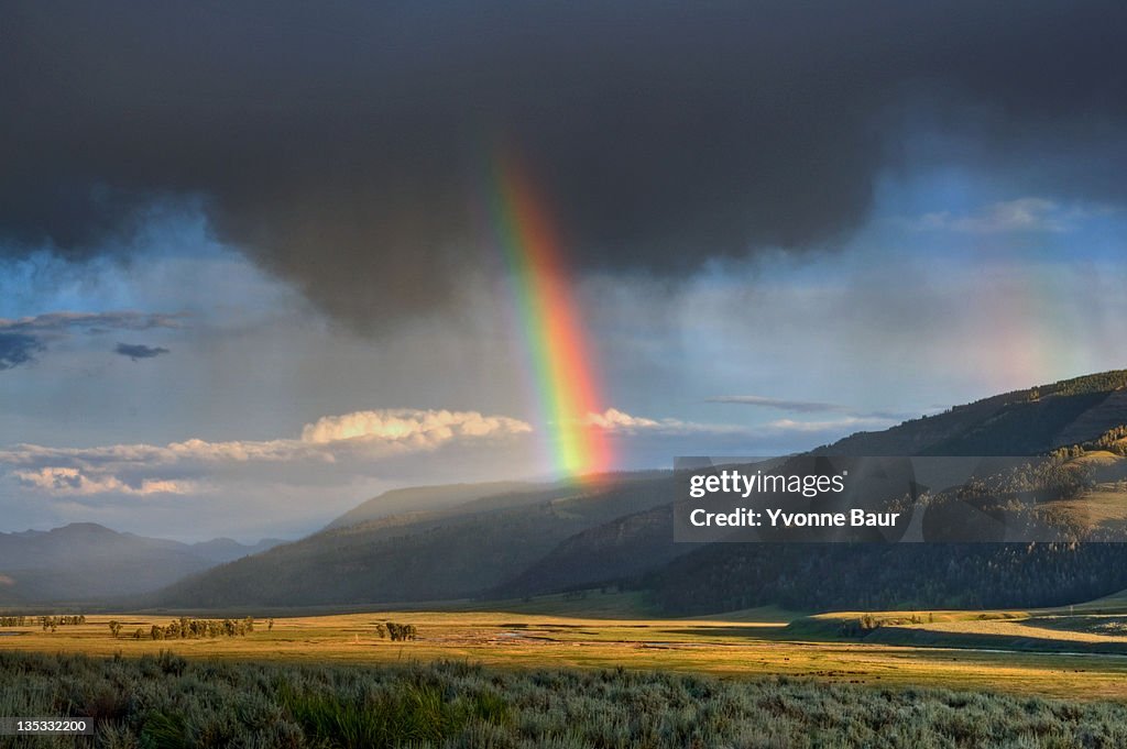 Rainbow over Lamar Valley