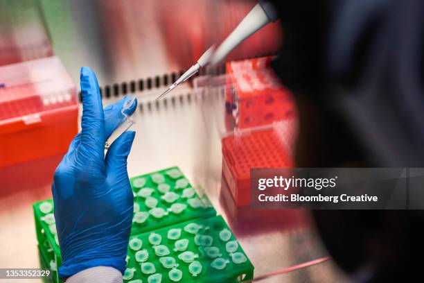 Plate Measuring Microscope Photos and Premium High Res Pictures - Getty ...