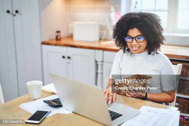 shot of a young woman affectionately holding her cat and using a laptop while working from home - pet insurance stock pictures, royalty-free photos & images