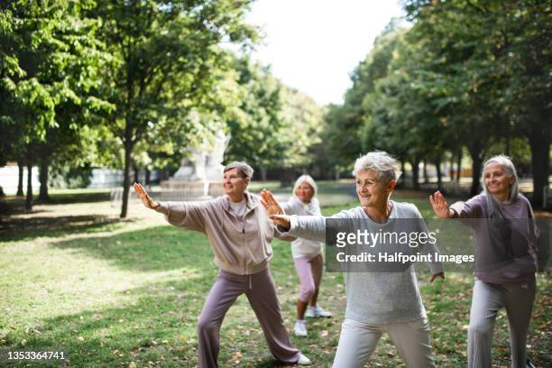 group of senior women doing exercise outdoors in park. - aktiver senior stock-fotos und bilder