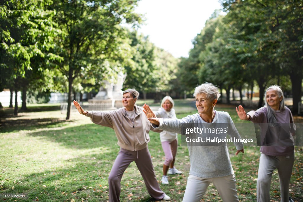 Group of senior women doing exercise outdoors in park.