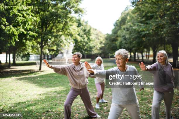group of senior women doing exercise outdoors in park. - yoga seniors photos et images de collection