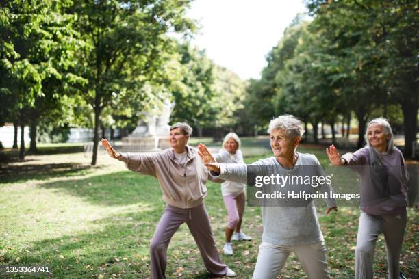 group of senior women doing exercise outdoors in park. - taijiquan photos et images de collection