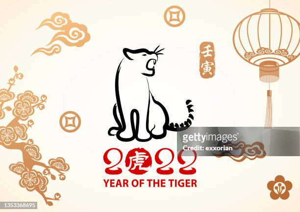ilustrações, clipart, desenhos animados e ícones de ano da celebração do tigre - chinese script