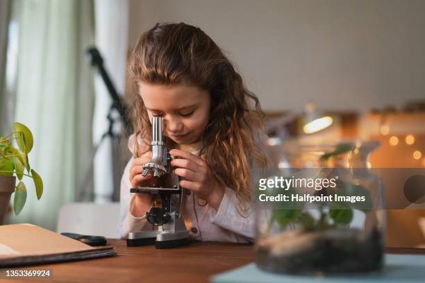 little girl doing biology project with microscope at home, homeschooling. - differential focus education stock pictures, royalty-free photos & images