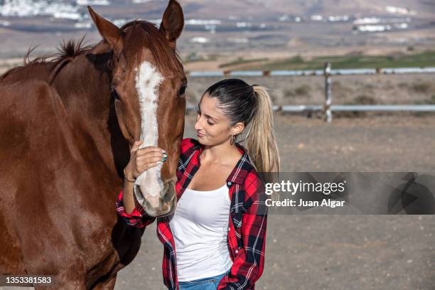 horsewoman talking to her horse while looking at him attentively - jockey isolated stock pictures, royalty-free photos & images