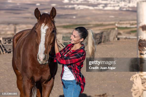 woman smiling as she caresses and walks a horse around the stable - enable horse stock-fotos und bilder