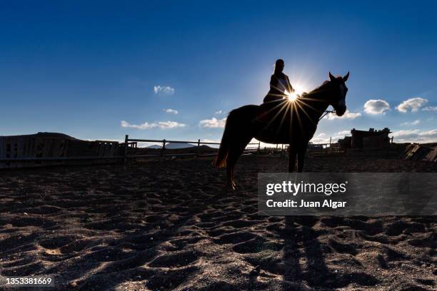 backlight side view of a person mounted on a horse - rodeo background stock pictures, royalty-free photos & images