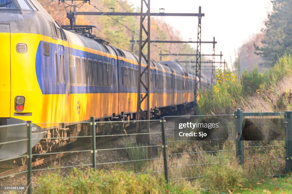 Intercity train of the Dutch railways driving throug an fall forest