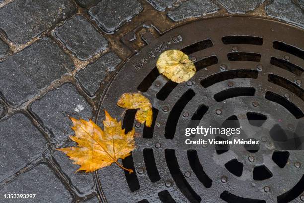 fallen leaves by the sewer - drainage stock pictures, royalty-free photos & images