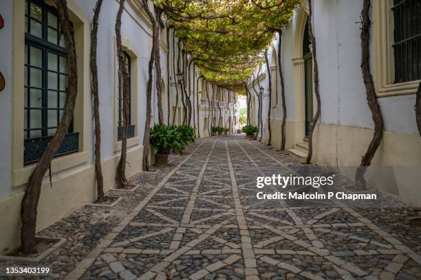 old street, jerez de la frontera, andalusia, spain - カディス ストックフォトと画像