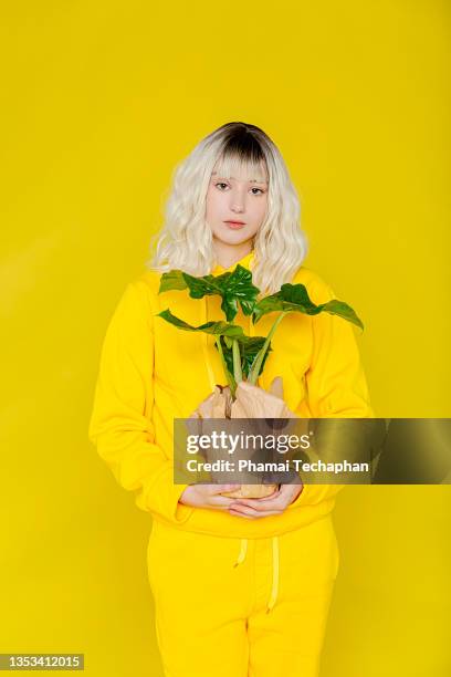 young woman holding pot of plant - different car models stock pictures, royalty-free photos & images