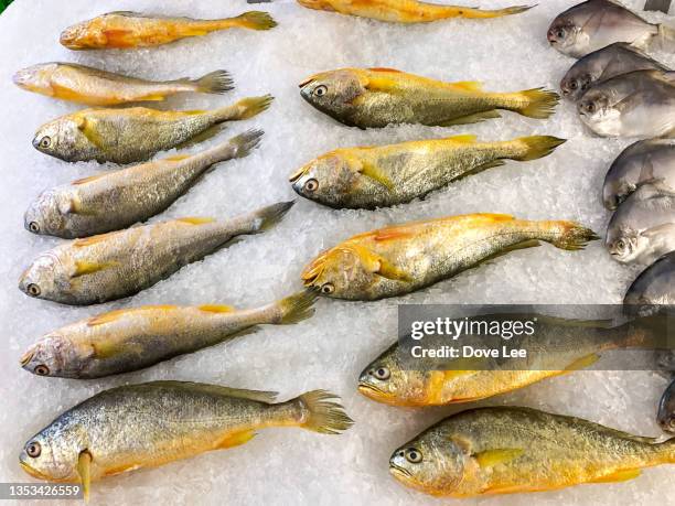 raw fish - frozen meat stock pictures, royalty-free photos & images