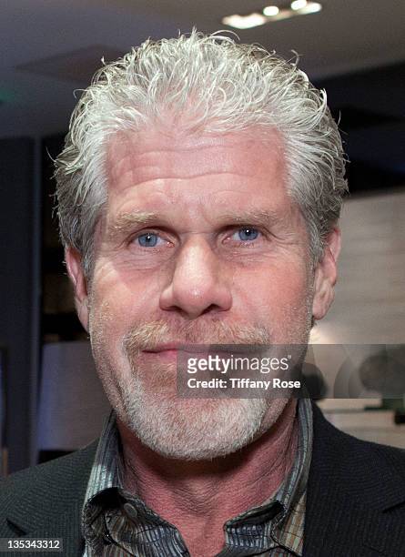 Actor Ron Perlman attends Opal Stone Luxury Handbags And Fine Jewelry Launch at Gray Gallery on December 8, 2011 in Beverly Hills, California.