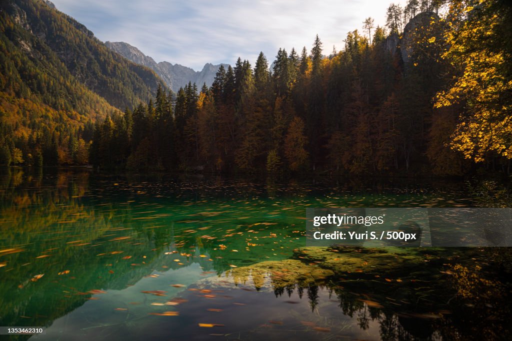 Scenic view of lake by trees against sky,Lago di Fusine inferiore,Tarvisio,Udine,Italy