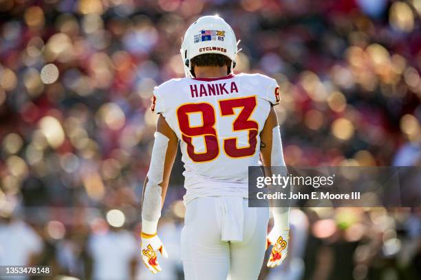 Tight end DeShawn Hanika of the Iowa State Cyclones stands on the field during the first half of the college football game against the Texas Tech Red...