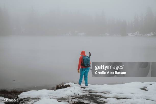 a lone backpacker stairs out at a frozen lake in strathcona provincial park during a snowstorm - lakeshore stockfoto's en -beelden