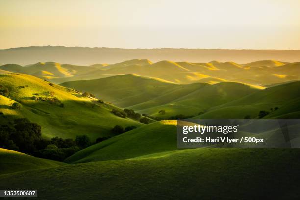 scenic view of landscape against sky during sunset - rolling landscape stock pictures, royalty-free photos & images