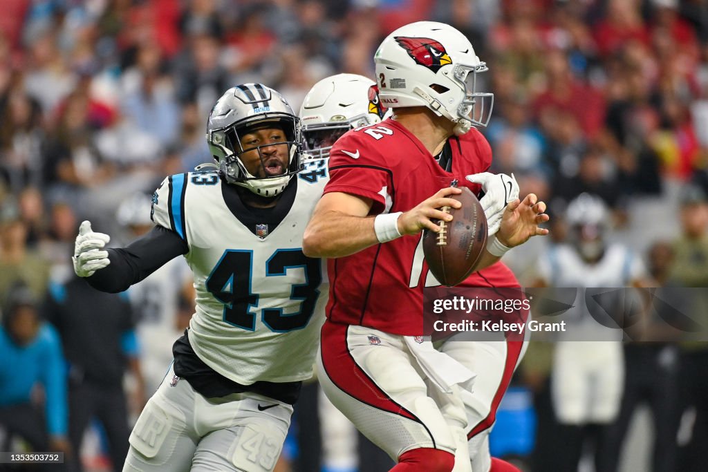 Carolina Panthers v Arizona Cardinals