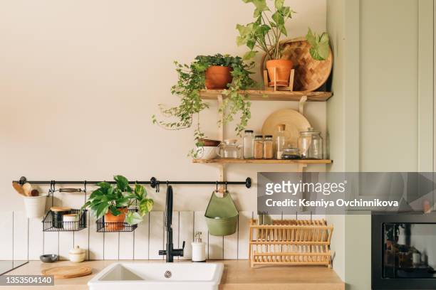 modern dining room with monstera plant, carpet and kitchen cart - flowers copy space stock pictures, royalty-free photos & images