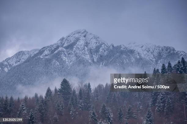 scenic view of snowcapped mountains against sky,romania - zarnesti stock pictures, royalty-free photos & images