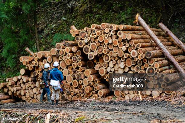 2,148 Logging Information Stock Photos, High-Res Pictures, and Images ...